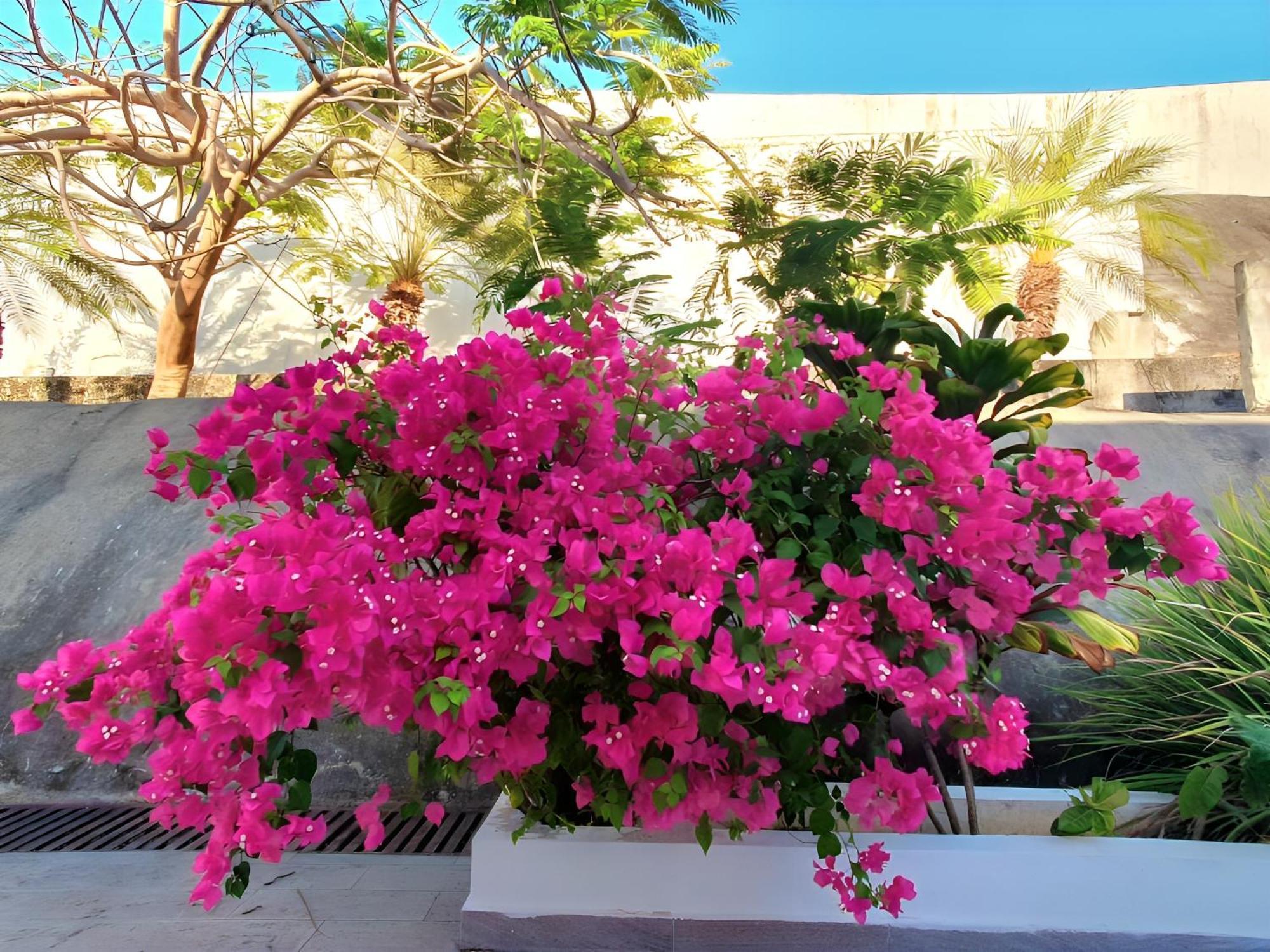Beach Villa With Cozy Terrace Río Hato Εξωτερικό φωτογραφία